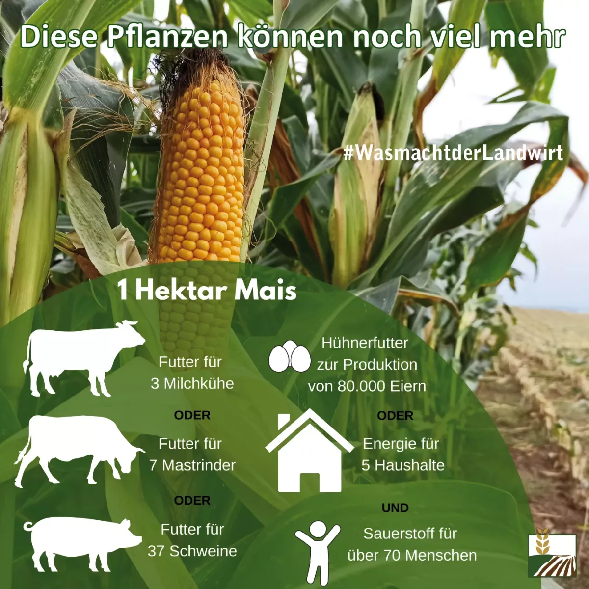 Herbsternte_die-Pflanzen-koennen-mehr_wasmachtderlandwirt_0