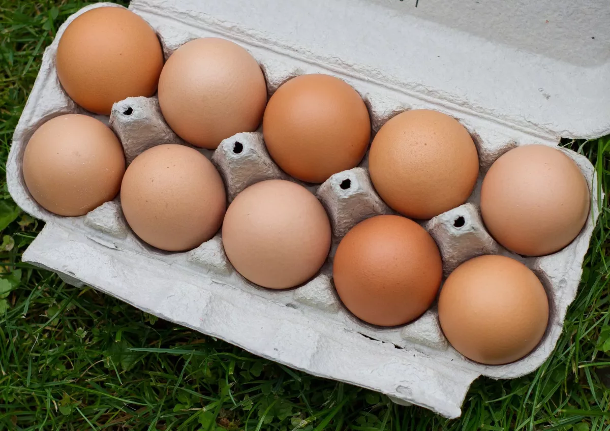 eggs-g33b9d0406_1920_pixabay_0