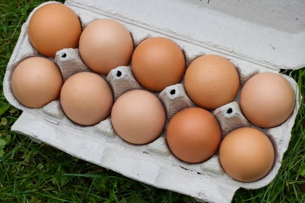 eggs-g33b9d0406_1920_pixabay_0